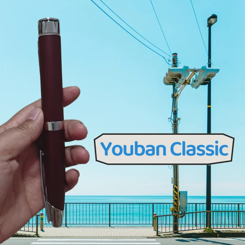 

Classic Humapen, ручка для инъекций инсулина, ручка Humapen Elite, пептидная ручка для инъекций, подходит для Humalog и Humulin
