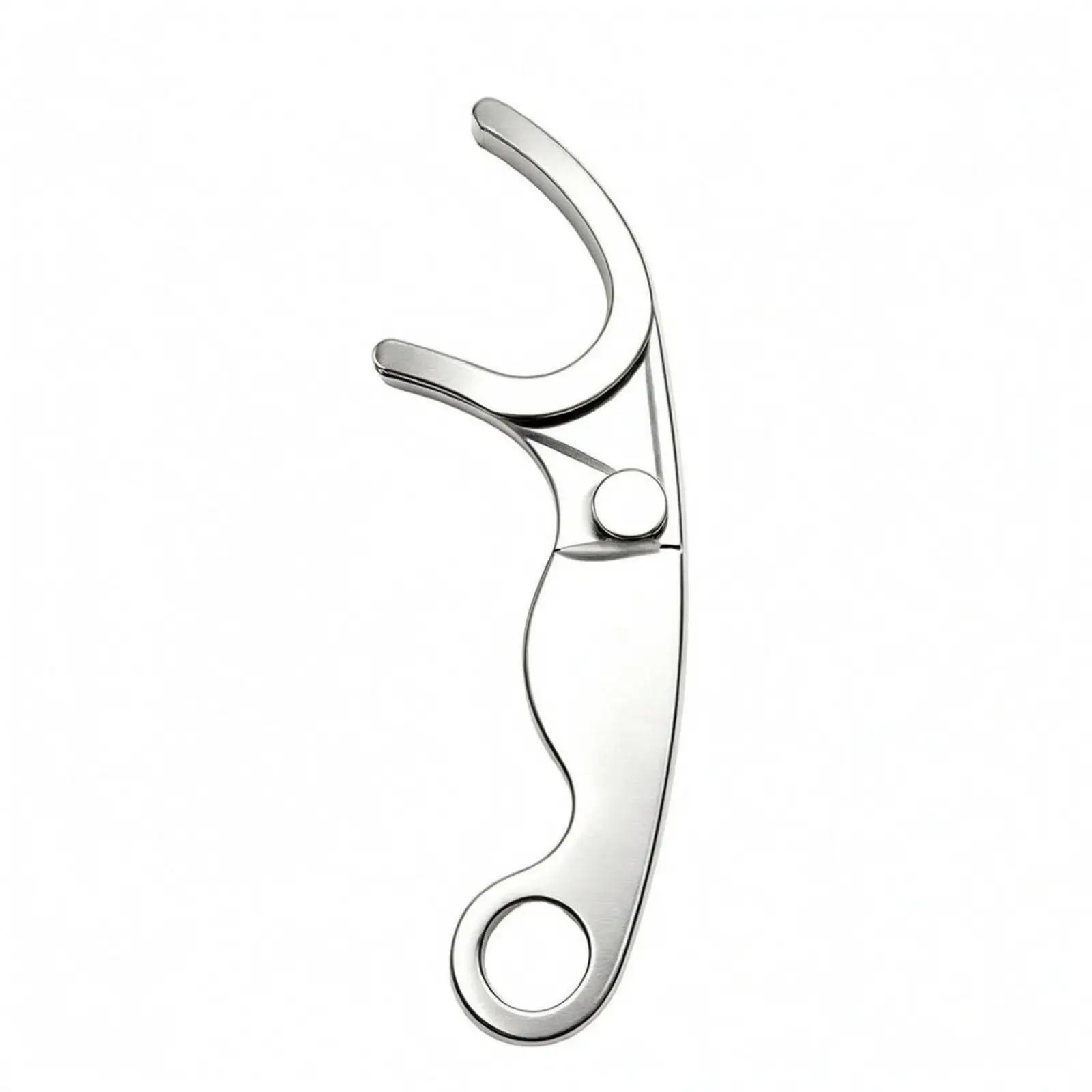 Stainless Steel Reusable Floss Pick with Holder Ergonomic Dental Floss Threaded Tool for Oral Hygiene and Plaque Removal