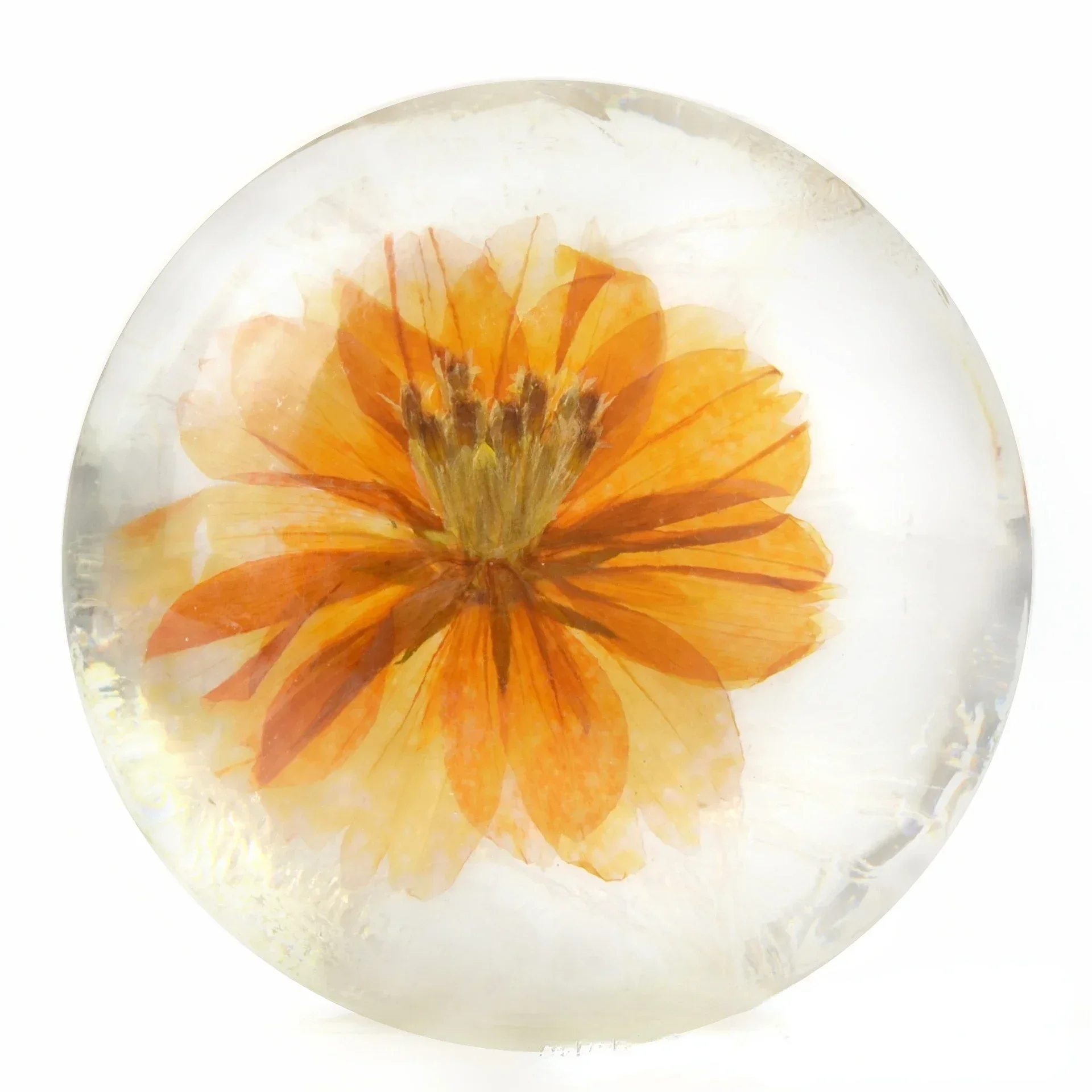 Amino Acid Handmade Soap Amino Soap Transparent Real Flower in It Soap Bar Creative Remove Acne Bath Sabun