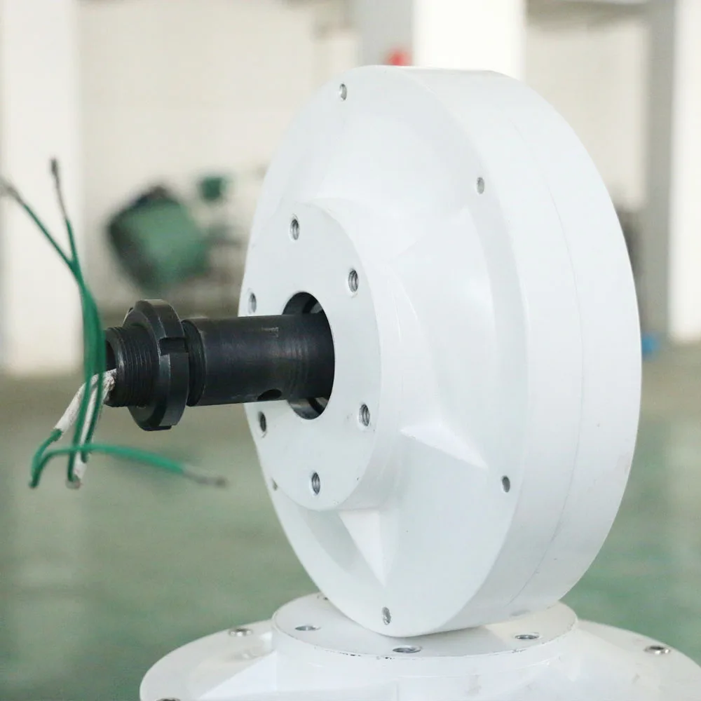 

1000 Вт Высококачественный генератор без сердечника с постоянным магнитом для ветряной турбины с вертикальной осью 1 кВт 12 В 24 В 48 В катушки из чистой меди