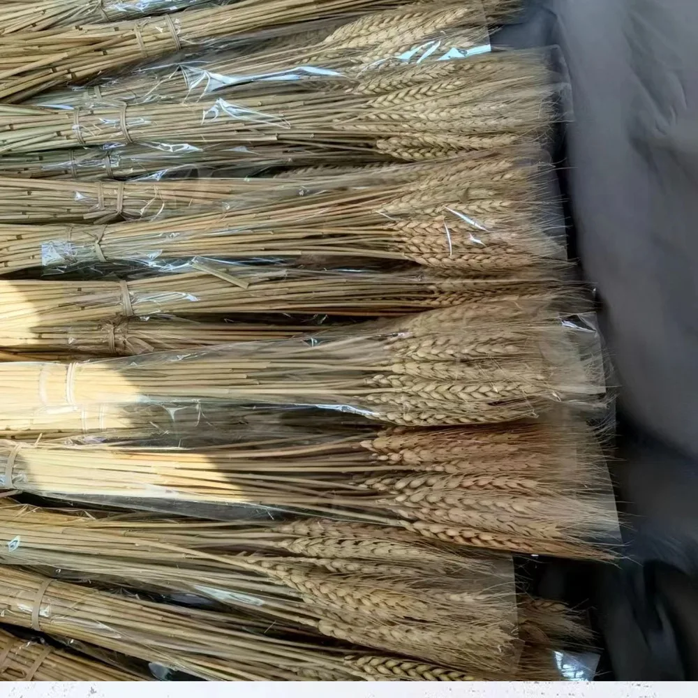 

50pcs Artificial Flower Natural Dried Wheat Stalks DIY Craft Elegance Dry Wheat Spikes Rustic Dried Flowers Christmas Decoration