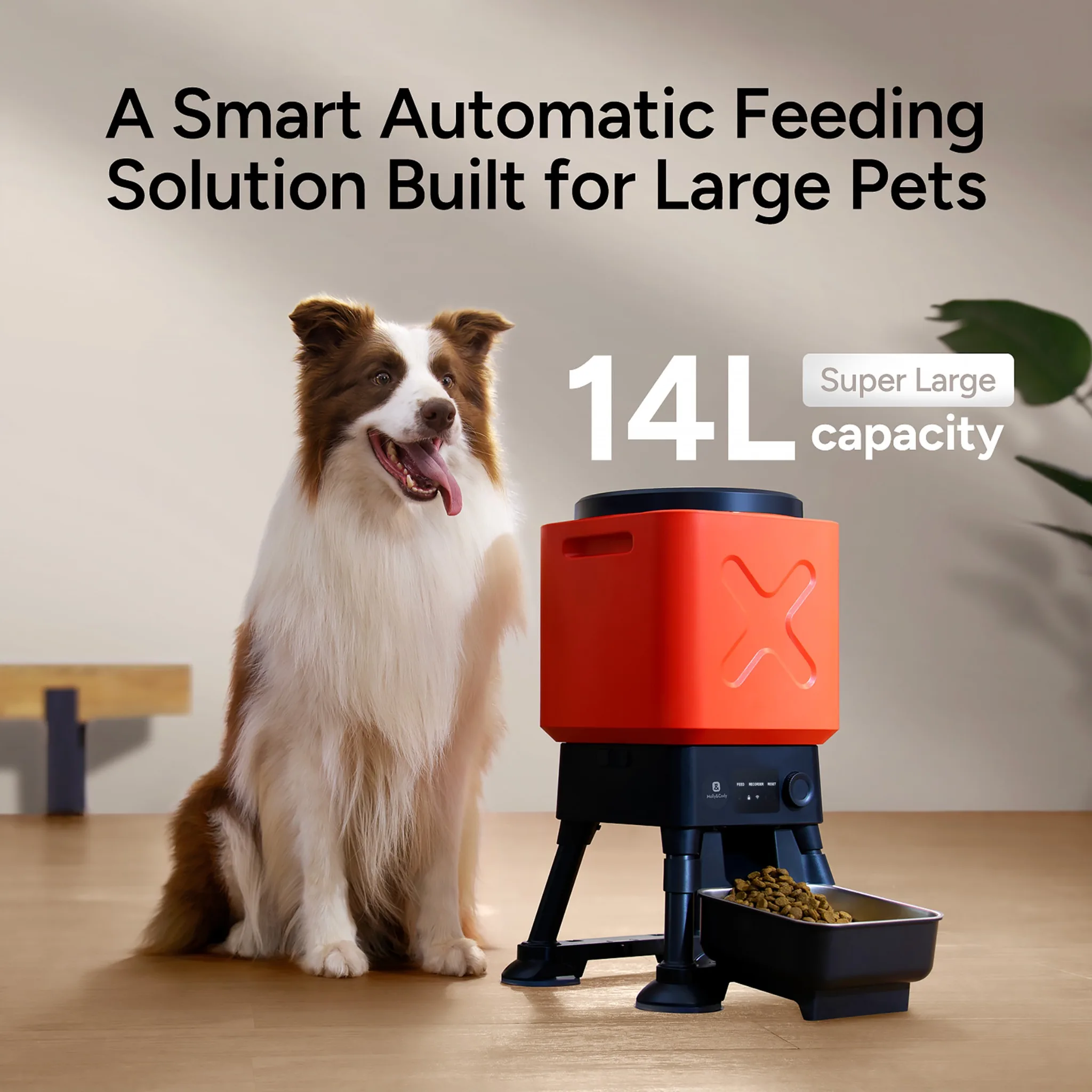 Automatic Dog Feeder for Large Dogs, 14L Capacity, Remote Feeding, Anti-Blockage System, Timed Auto Dog Food Dispenser, 2.4G WiF