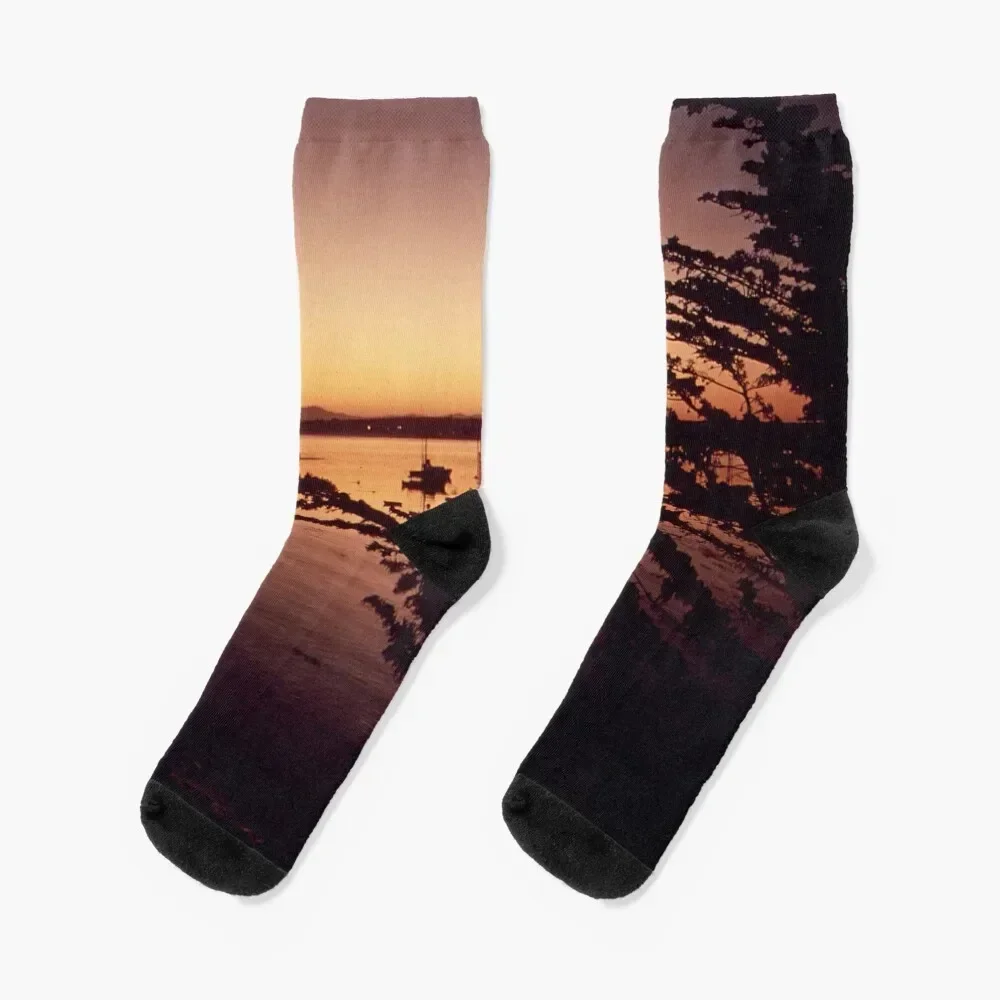 CALIFORNIA WATERFRONT, PACIFIC GROVE NARA 543133 Socks halloween designer brand designer Socks Male Women's