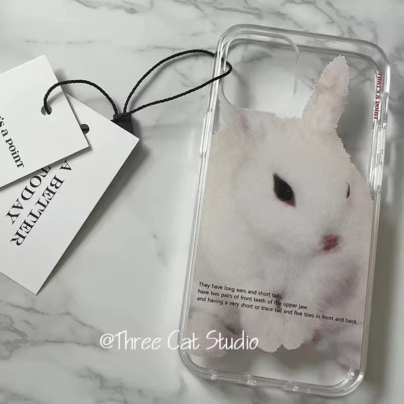 Custodia per telefono coniglio carino cartone animato coreano per iPhone 17 Air 16 Pro Max 15 14 Plus 13 12 Mini 11 Pro Cover posteriore in silicone antiurto
