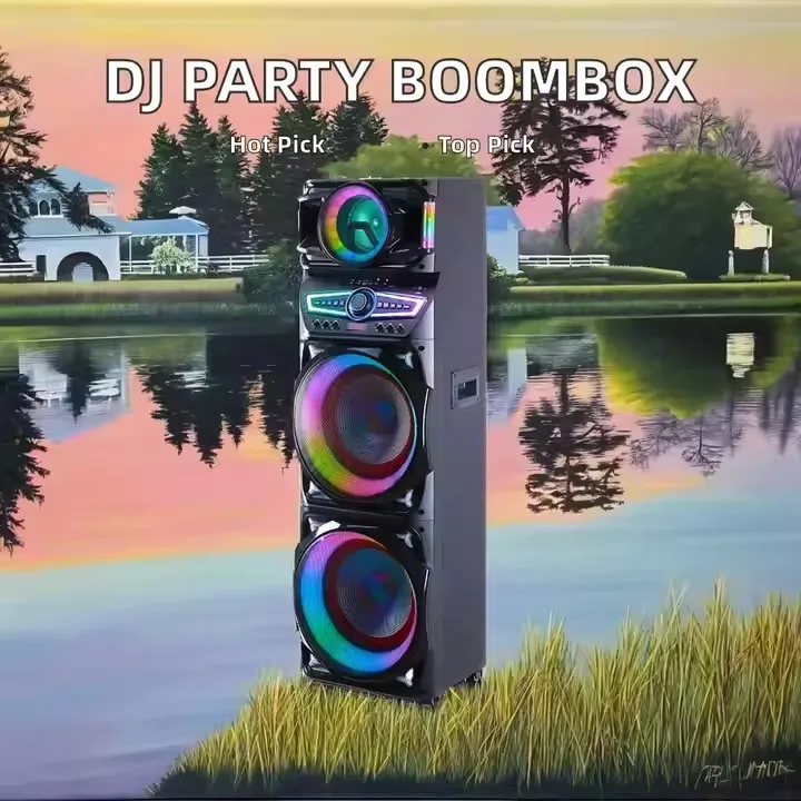 مصنع الأسهم المحمولة المتكلم كاريوكي مزدوج 15 بوصة الصوت UB نشط المتكلم Led Partybox مع ميكروفون TD15A9
