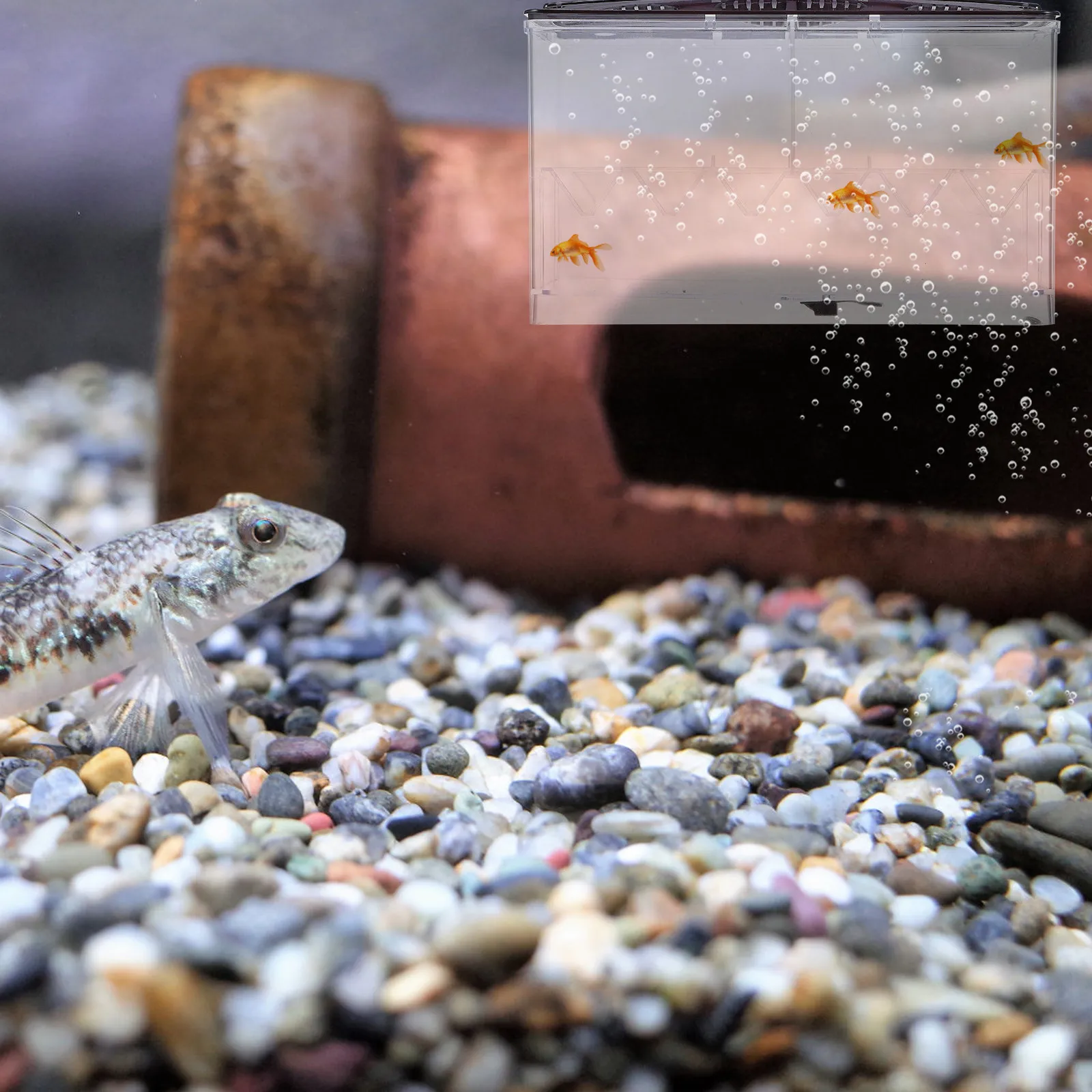 

Многофункциональный прозрачный акриловый инкубатор для аквариума: изоляция новорожденных рыб, легкая установка, аксессуар для инкубационного бака