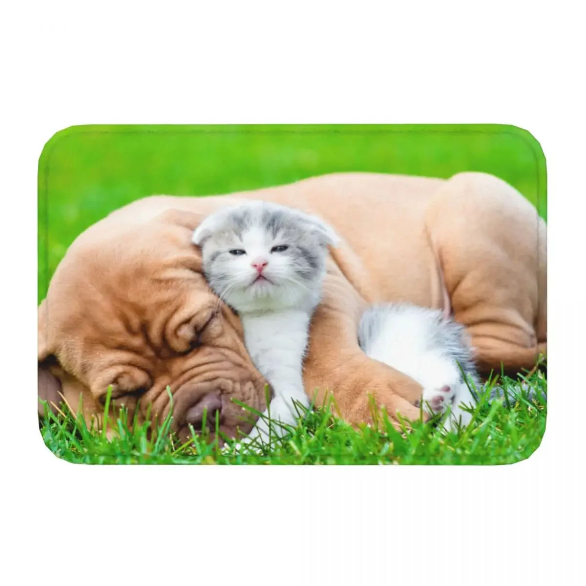 Cat Cute Kawaii Animal Animals Non-slip Doormat Bulldog Kitten Carpet Living Room Bedroom Mat Welcome Flannel Pattern