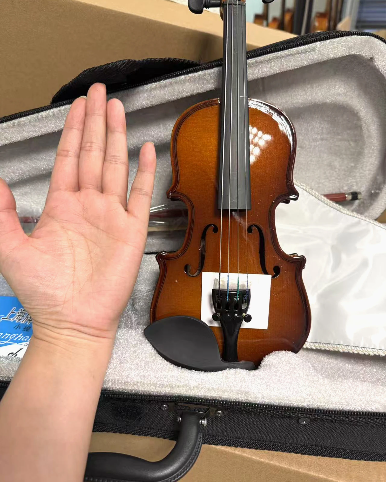 Solid Wood Violin 1/32, Enlightenment Mini Violin, Children's Violin/32 with Hard Case, Shoulder Rest, Bow, Strings