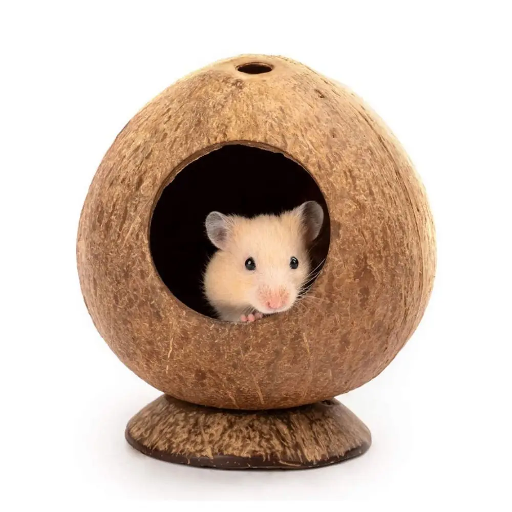 

Natural Coconut Hamster Cage Simple Squirrel Hamster Hideout Breeding Nest Molar Toy DIY Pet Bird House Pendant for Home Garden