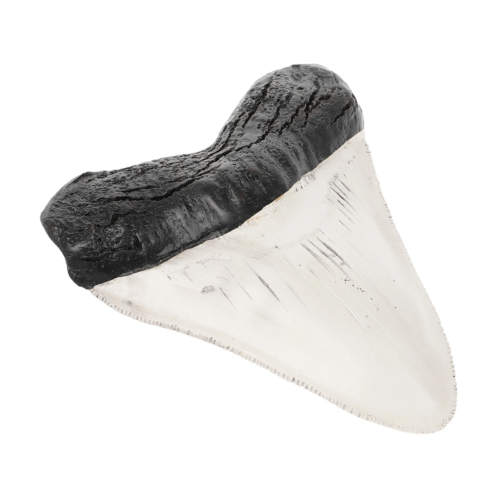 

Decoration Realistic Fake Durable Desktop Ornament For Home Office Diy Decor Retro Stone Craft Simulation Tooth