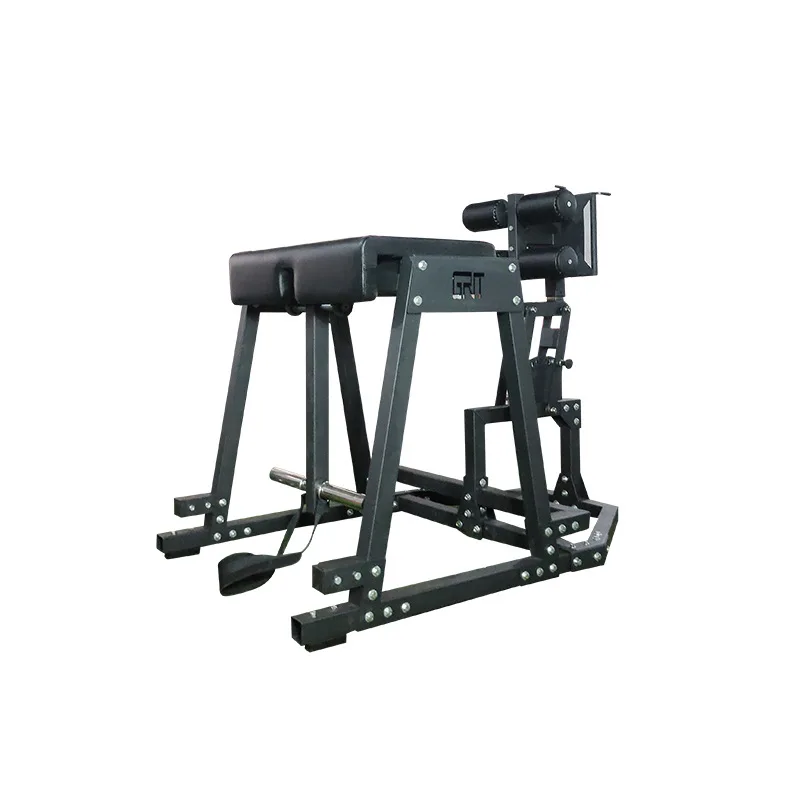 

Reverse Hyper Extension Bench Press Muscle Exercise Muscle Comprehensive Trainer Roman Chair