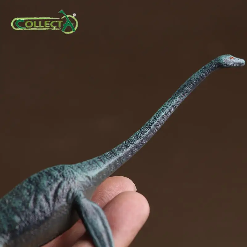 Collecta plesiosaurus elasmosaurus Dinosaur toy model