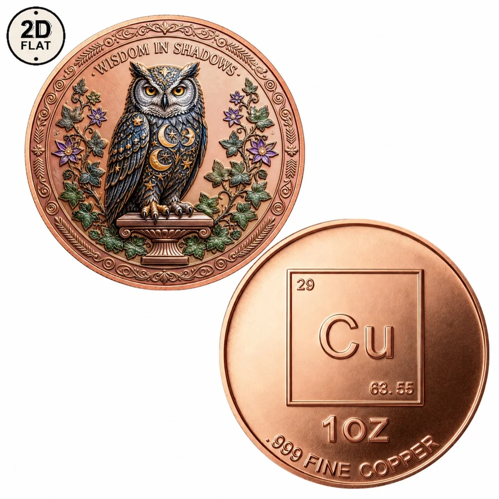 1pc Wisdom In Shadows Owl 1oz Fine Copper Challenge Coin Wisdom In Shadows 2D Print Collectible Medal Present for Witchy Fans