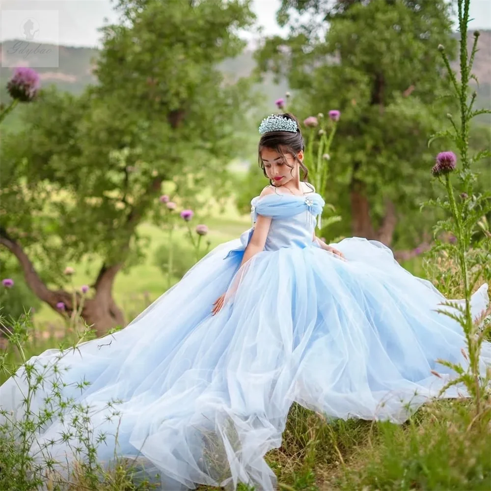 Sky Blue Off-Shoulder Flower Girl Dress with Fluffy Transparent Straps Beaded Detail for Children's Party And Wedding Elegant