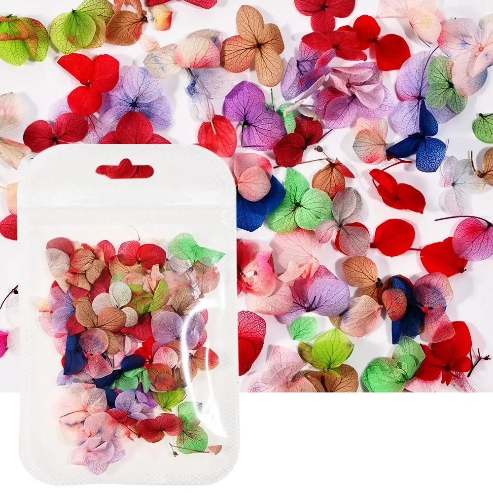 50pcs Colorful Dry Flowers Real Floral Sticker Nail Art Decoration 3D Charm Leaf Flower Gel Polish Manicure Jewelry Accessories