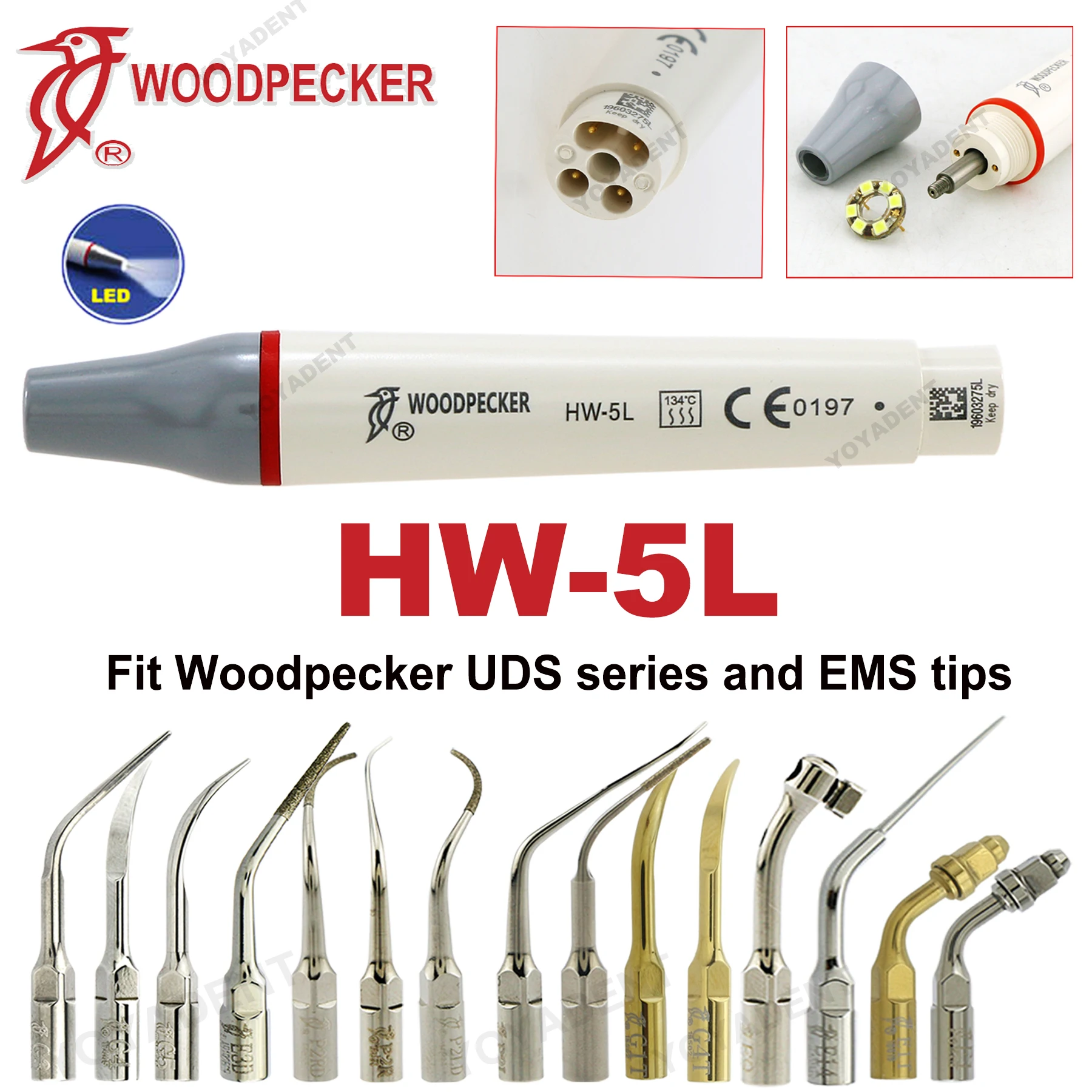 

Насадка для стоматологического ультразвукового скалера Woodpecker HW-5L, наконечники для скалера, динамометрический ключ, подходит для EMS UDS, стоматологические аксессуары