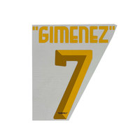 2024/25 Name sets RAFA LEAO PULISIC THEO name and number JAAO FELIX GIMENEZ top AAAA quality iron on 2025
