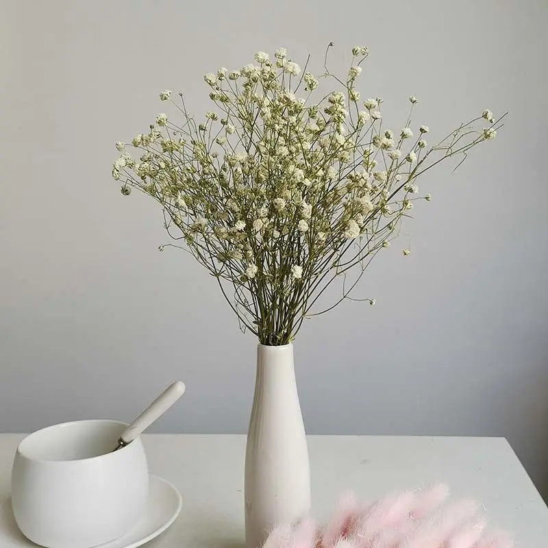 

High Quality Natural Gypsophila Flowers Dried Bouquet In 12 Colors Real Natural Bud For Wedding Home Decor Factory Direct Sales