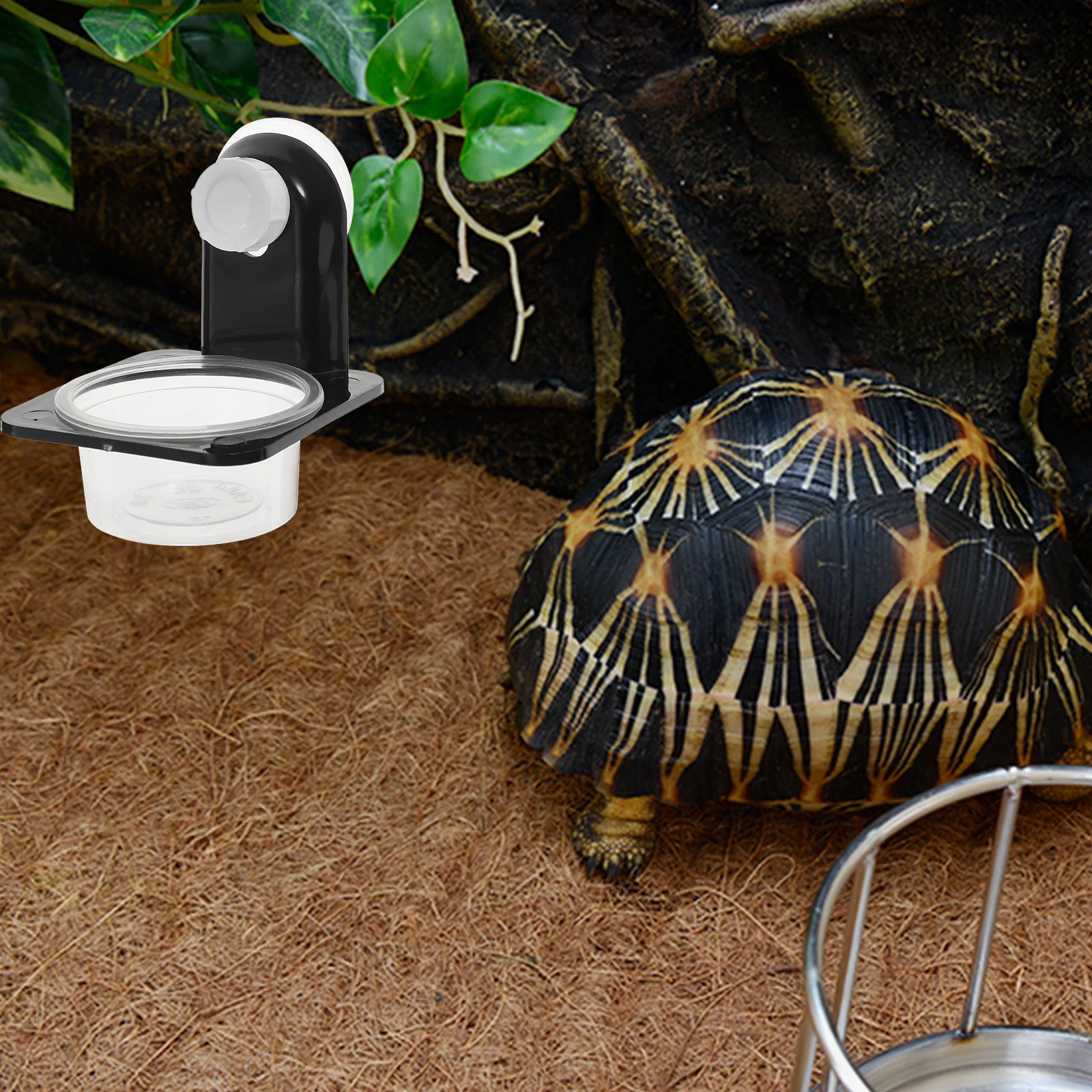 

2 set Plastic Reptile Feeding Bowl 6Cm Water Dish For Gecko Lizard Turtle Suction Cup Pet Supply Reptile Water Dispenser