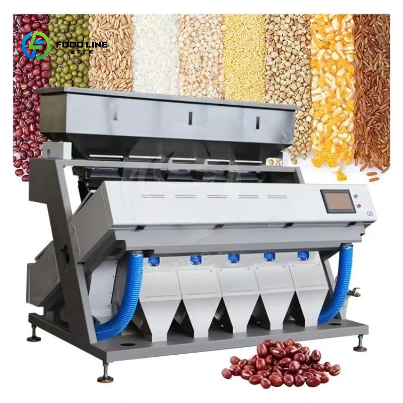 Coffee Bean Colour Grade Machine Small Seed Cashew Nut Ccd Color Separator Sorter Machine in China Customized