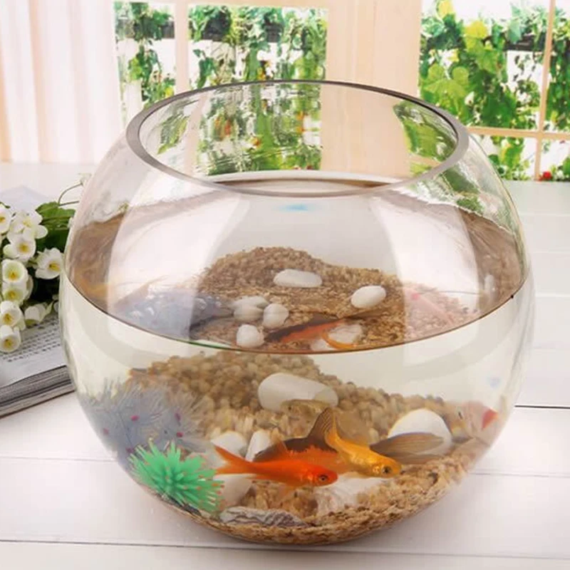 8/10/12cm Simple Round Ball Vase Round Glass Fish Tank Transparent Hydroponic Vase Micro Landscape Moss Ecological Bottle