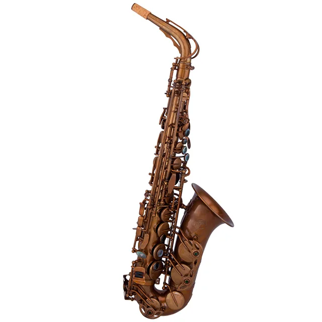

Taishan Vintage Satin Brass Alto Saxophone TSAS-660U Hand Engravings Eb Tone Unlacquered Finish SGS Certified Performance PMMA