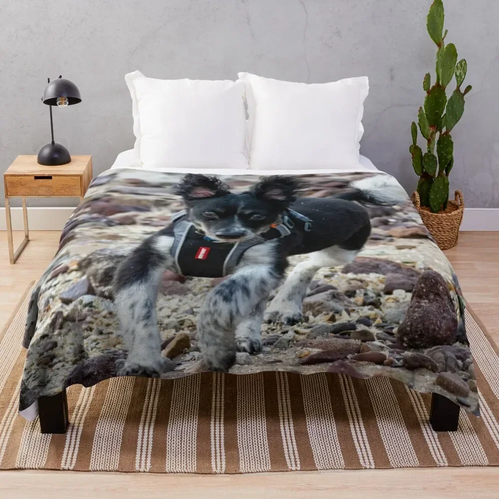 

Bouncer Throw Blanket cosplay anime Fashion Sofas Blankets