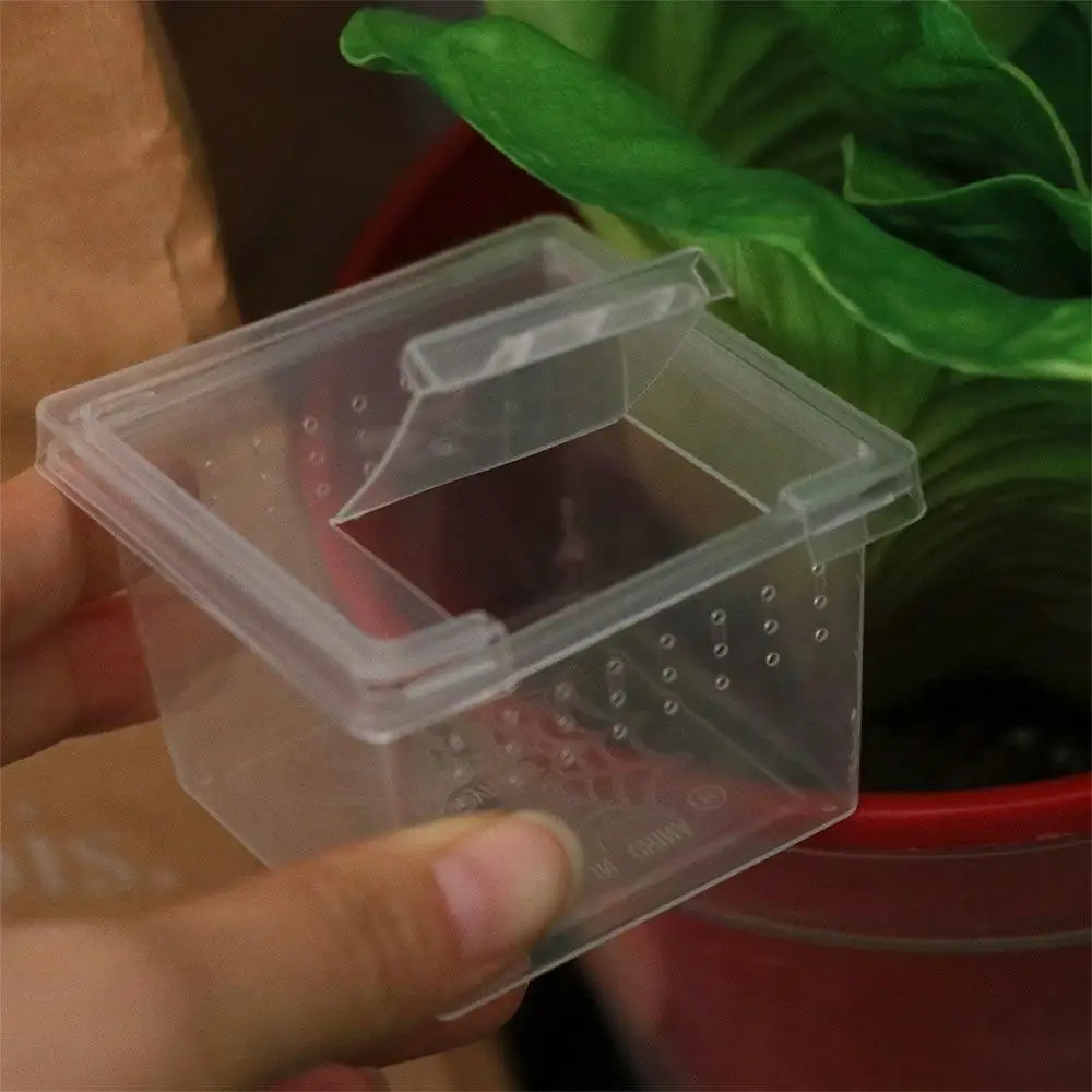 Durable Reptile Accessories Plastic Household Transparent Reptile Habitat Insect Feeding Box Hatching Tank Lizard Living Box