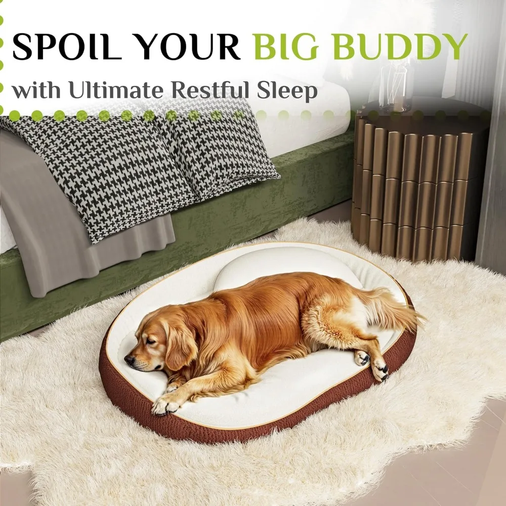 سرير دعم فاخر لتقويم العظام للكلاب مقاس XL، توسيد إسفنجي عالي الكثافة مع وسائد إضافية، جزء سفلي مضاد للانزلاق كبير جدًا