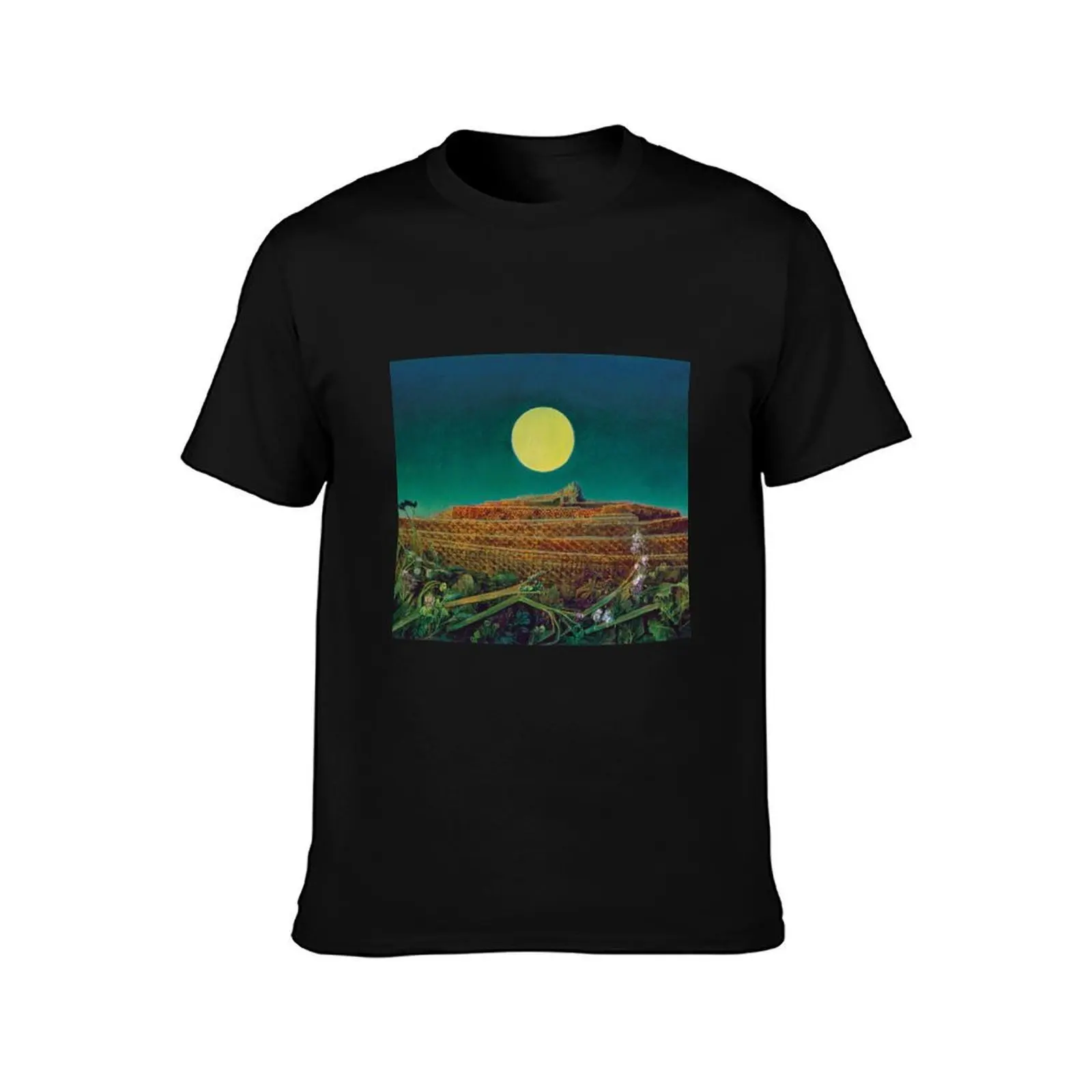 Max ernst paintings max ernst artwork Max ernst surrealism, 1891-1976 T-Shirt All Match Basic Short Sleeve Top T-Shirt