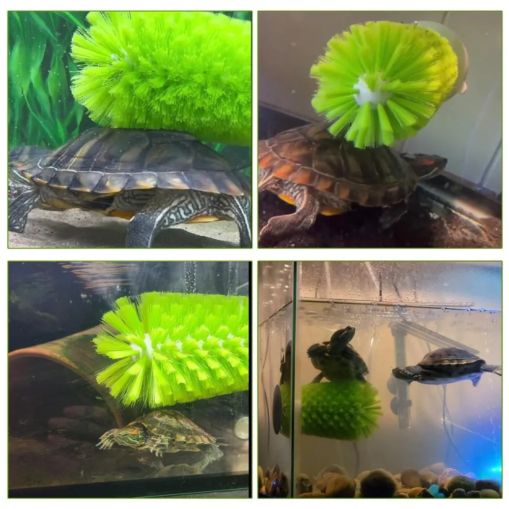 Scrubber Turtle Shell Cleaning Brush Cleanser Brace Small Animal Plastic Aquatic Tortoise