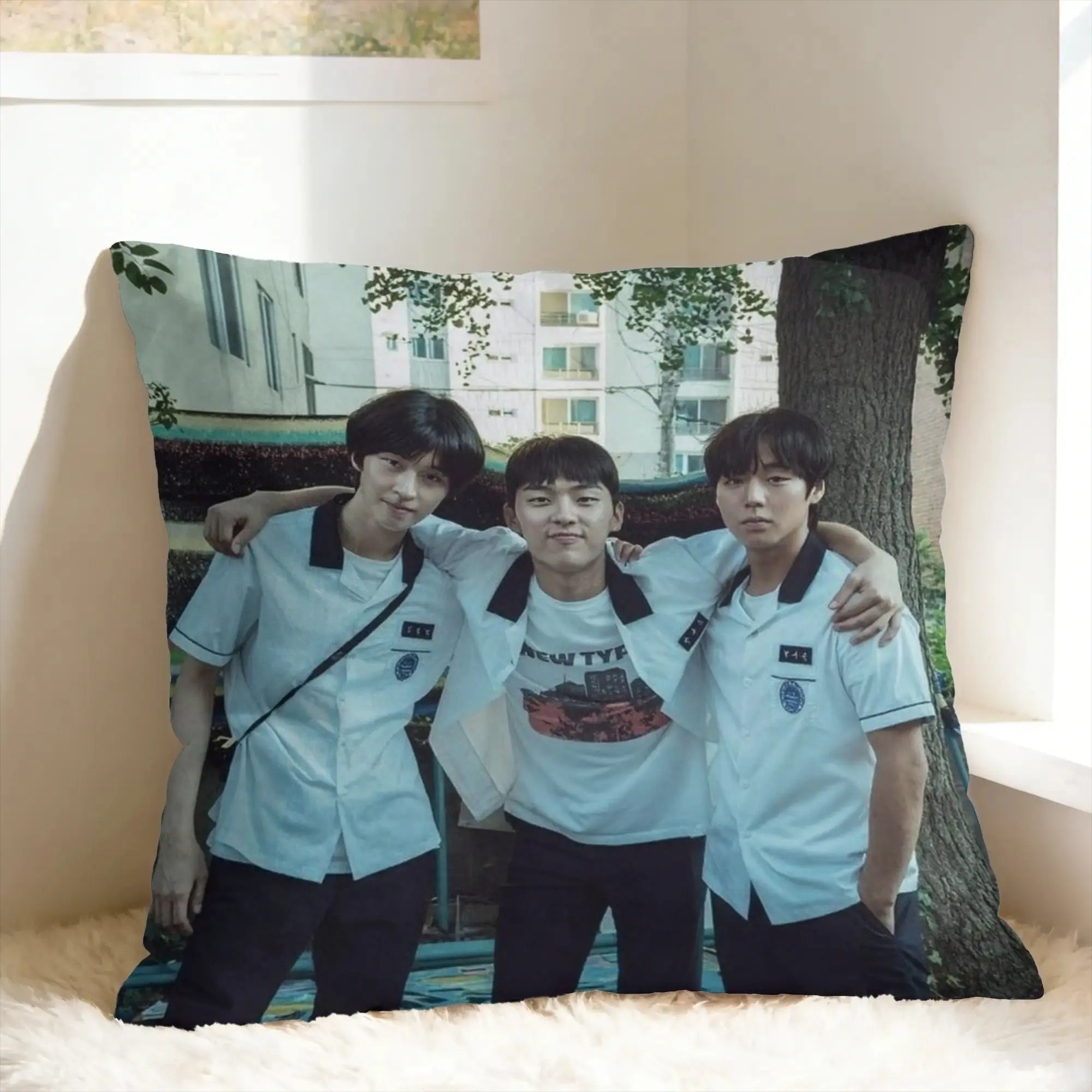 Pillow Cover Hot Kdrama Weak Hero Class  Funny Pillow Case For Living Room Bed Chair Pillowcases