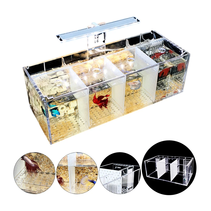 Aquarium Fish Breeder Box Fish Isolation Box for Baby Betta Fish Clownfish Guppy Small Plexiglass Pump Filter Fishbowls