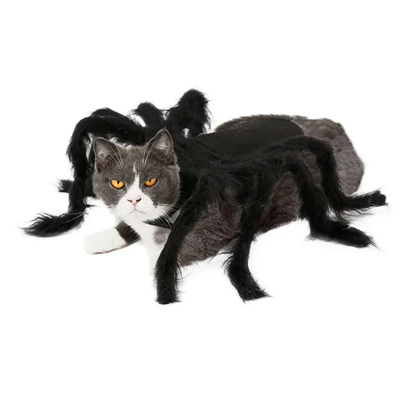 Halloween Pet Clothes Funny Black Spider Costume Cosplay Cat Dog Halloween Party for Pet Supplies Cat Accessoties Gift #