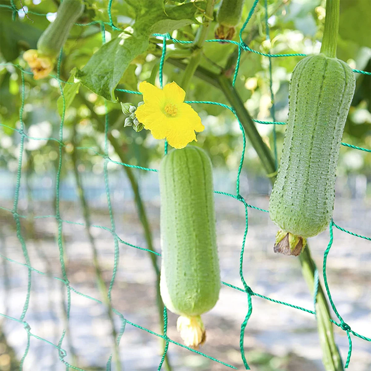 Garden Plants Climbing Net Nylon Planting Supports Trellis Netting for Vine Vegetables Loofah Cucumber Grow Holder 2023