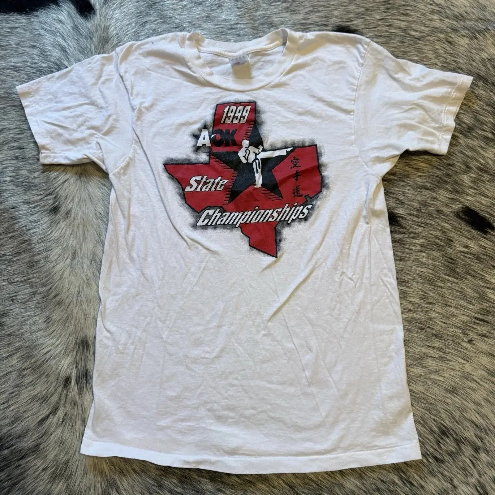 Vintage 1999 AOK State Championships Texas Black Belt Karate Academy T Shirt L vintage Washed Slightly Stretched Casual
