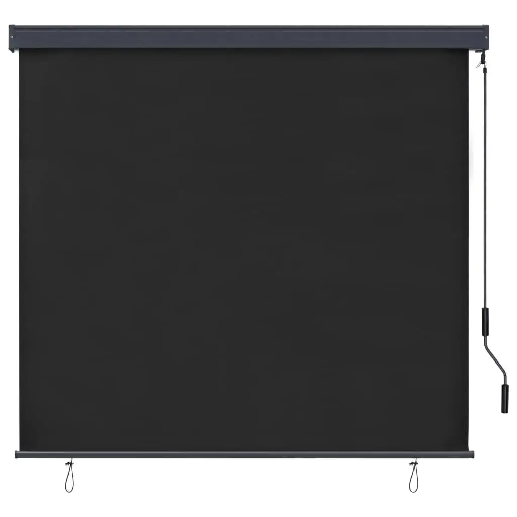 63x98.4 Anthracite Outdoor Roller Blind - UV Protection, Waterproof, Easy Installation