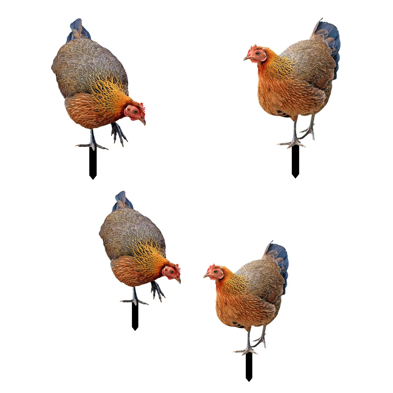 

Rooster Yard Stake Hen Animal Statue Stakes for Farm Courtyard Lawn Yard