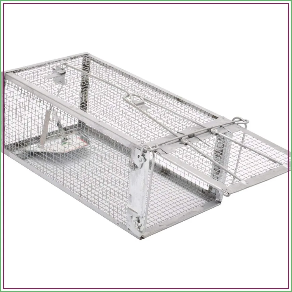 

Humane Live Cage Trap for Rats, Mice, Chipmunks, Voles, Hamsters - Catch and Release, Medium 12"x6.5"x5"