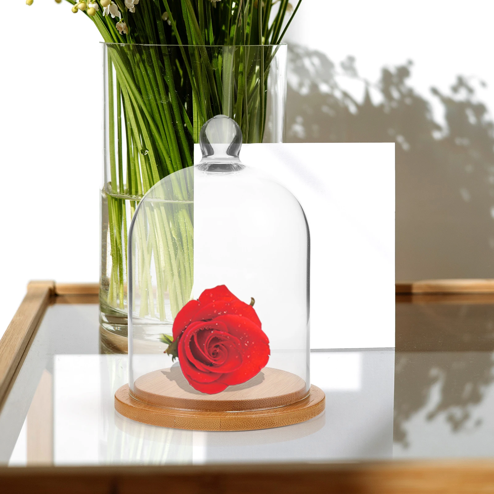 

Aroma Diffuser Ballglass Display Dome Vessels Flower Cover Preserved Flowers