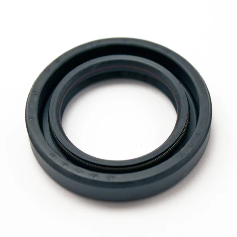 TC-22*28*30*32*34*35*36*38*40*42*47*50*52*56*4/5/6/7/8/9/10/12 NBR Shaft Oil Seal Nitrile Covered Double Lip With Garter Spring