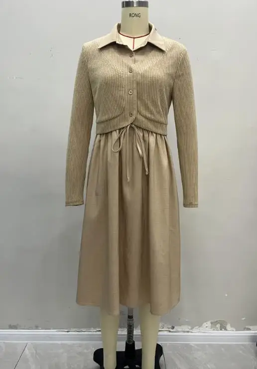 Frauen Kleider Herbst Winter Neue Plus Größe Hemd Rock Einfarbig Revers Lange Ärmeln Gefälschte Zwei-Stück Kleid Einfache casual Kleid