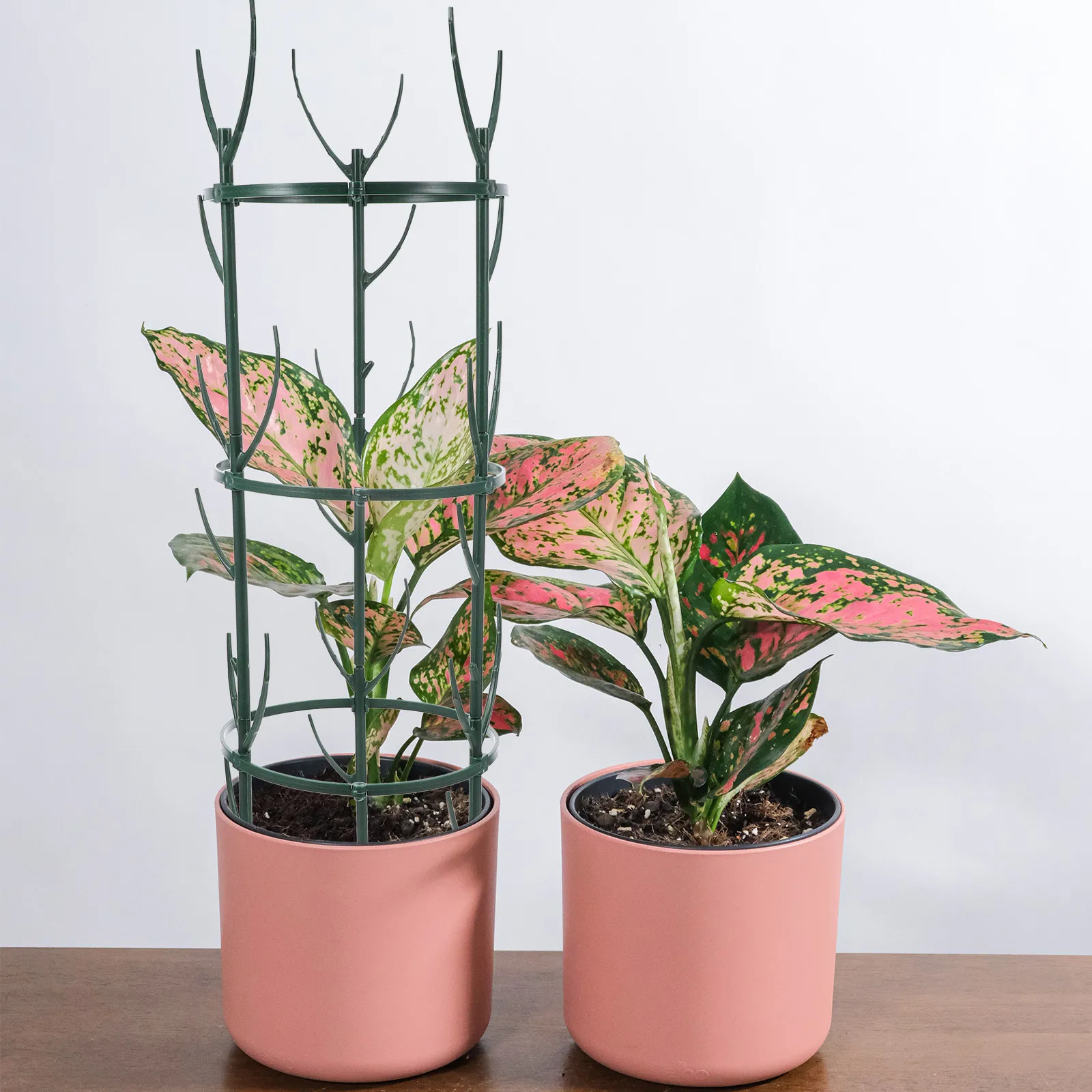 Plant Trellis 3 Tiers Detachable Stackable Climbing Plants Support Rack for Indoor Outdoor Garden Plant Sticks Support Tall