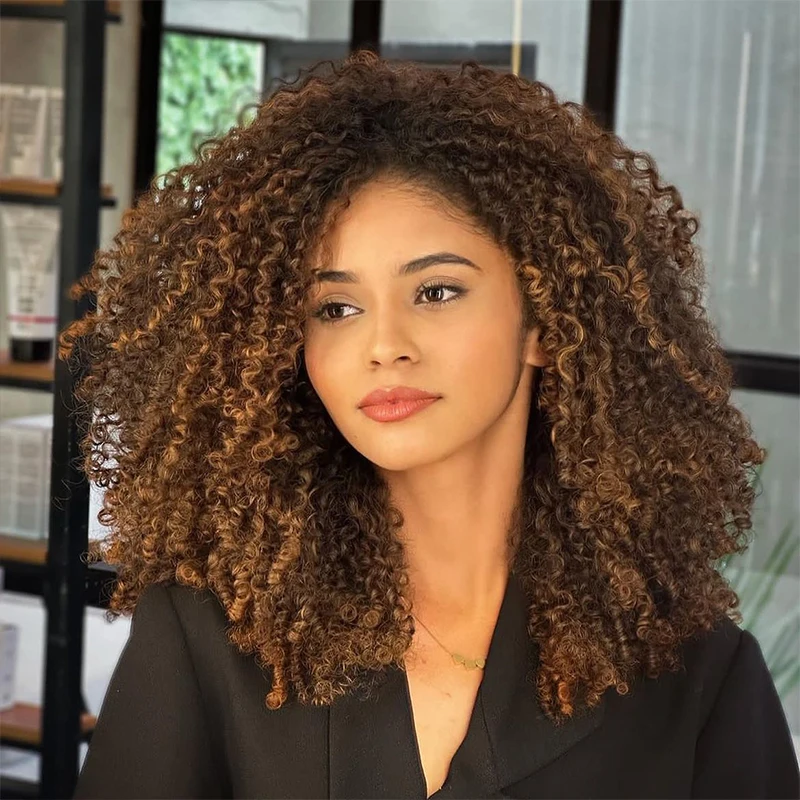 Highlight Afro Curly Clip in Hair Extensions Human Hair Ombre 8pcs One Set Clip-In Hair Extensions Weft Hair Extension Weaves