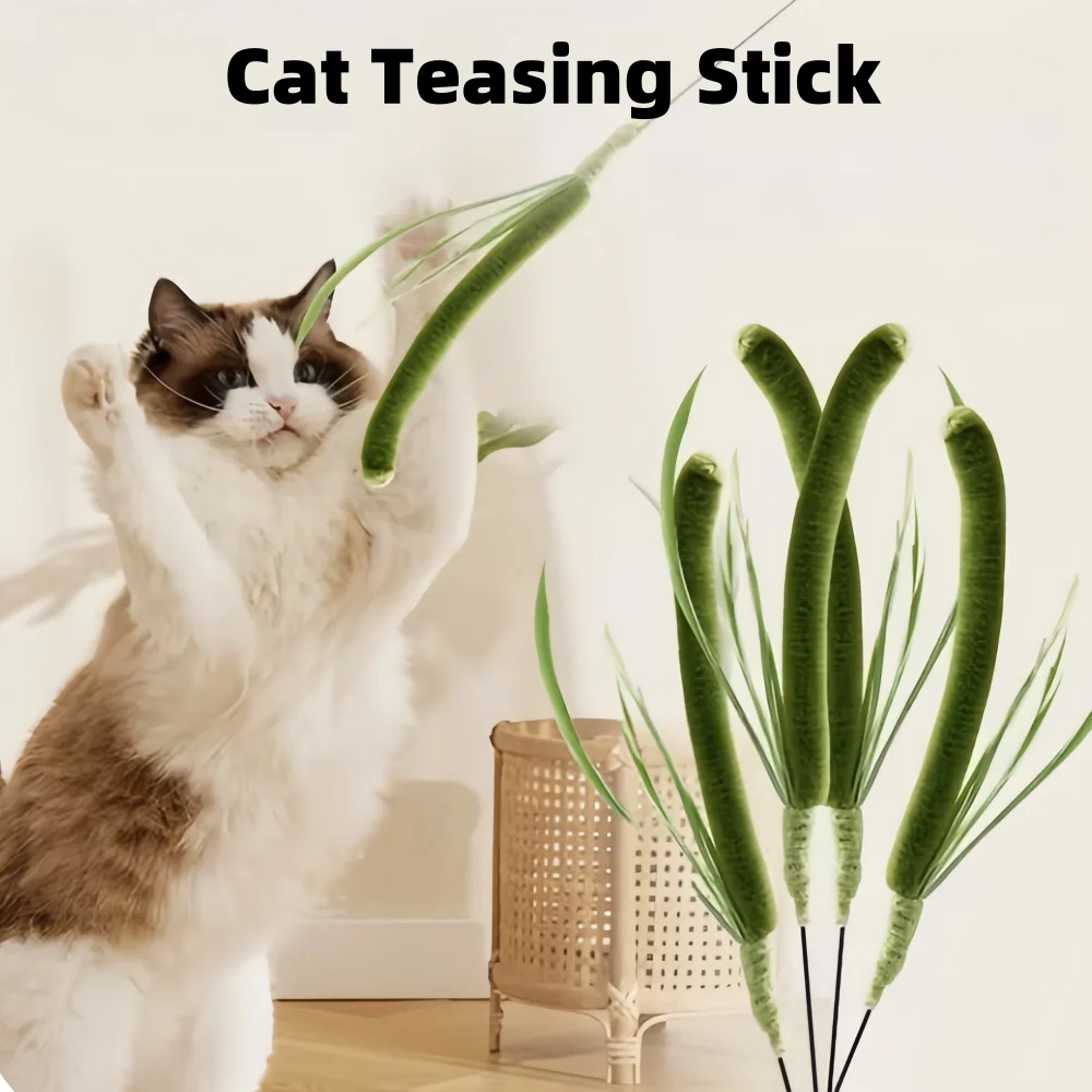 

Cat Dog Tail Grass Dog Sage Feather Long Pole Cat Teasing Stick Bite Resistant Self Soothing Tool Teaser Cat Toy Pet Supplies