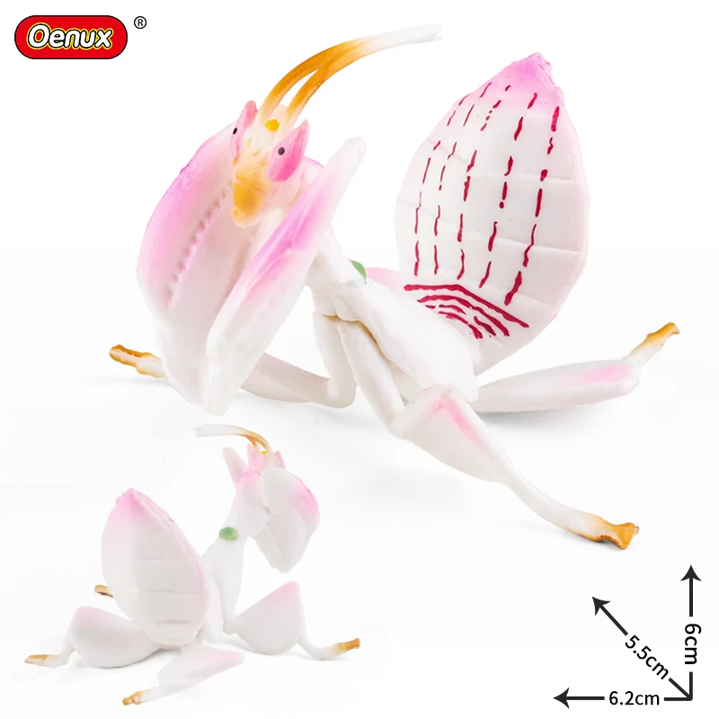 Oenux Wild Animals Simulation Raccoon Lizard Capybara Cock Horse Magpie Action Figure Model Figurines PVC Collection Kids Toy