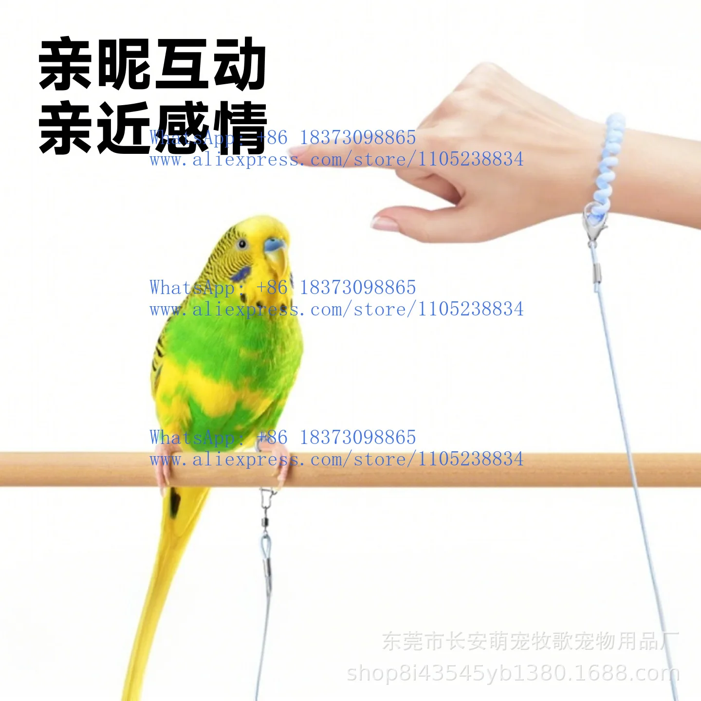 2Pcs parrot flying rope does not hurt the feet ultra-light traction rope tiger skin Xuanfeng peony small sun anklet anklet