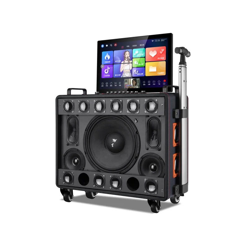 2024 Multi-function Karaoke System Machine Wifi Portable Karaoke Speaker with 17 Inch Black Battery Wooden Speaker TYPE-C RGB