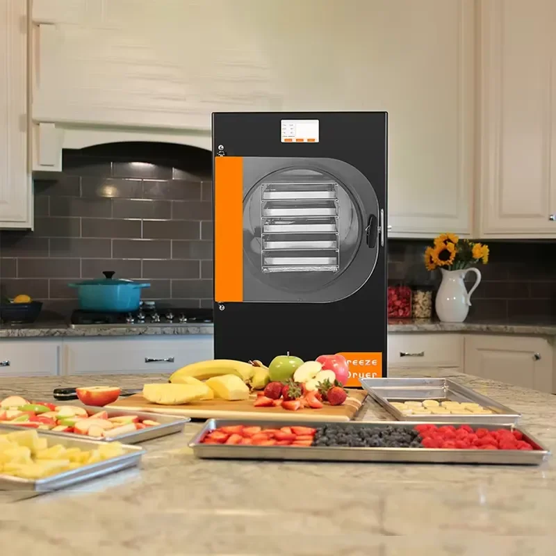 110V 4kg 6kg Stainless Steel Vacuum Freeze Dryer Machine Digital Control Electric Heating Food Dehydrator for Home Commercial