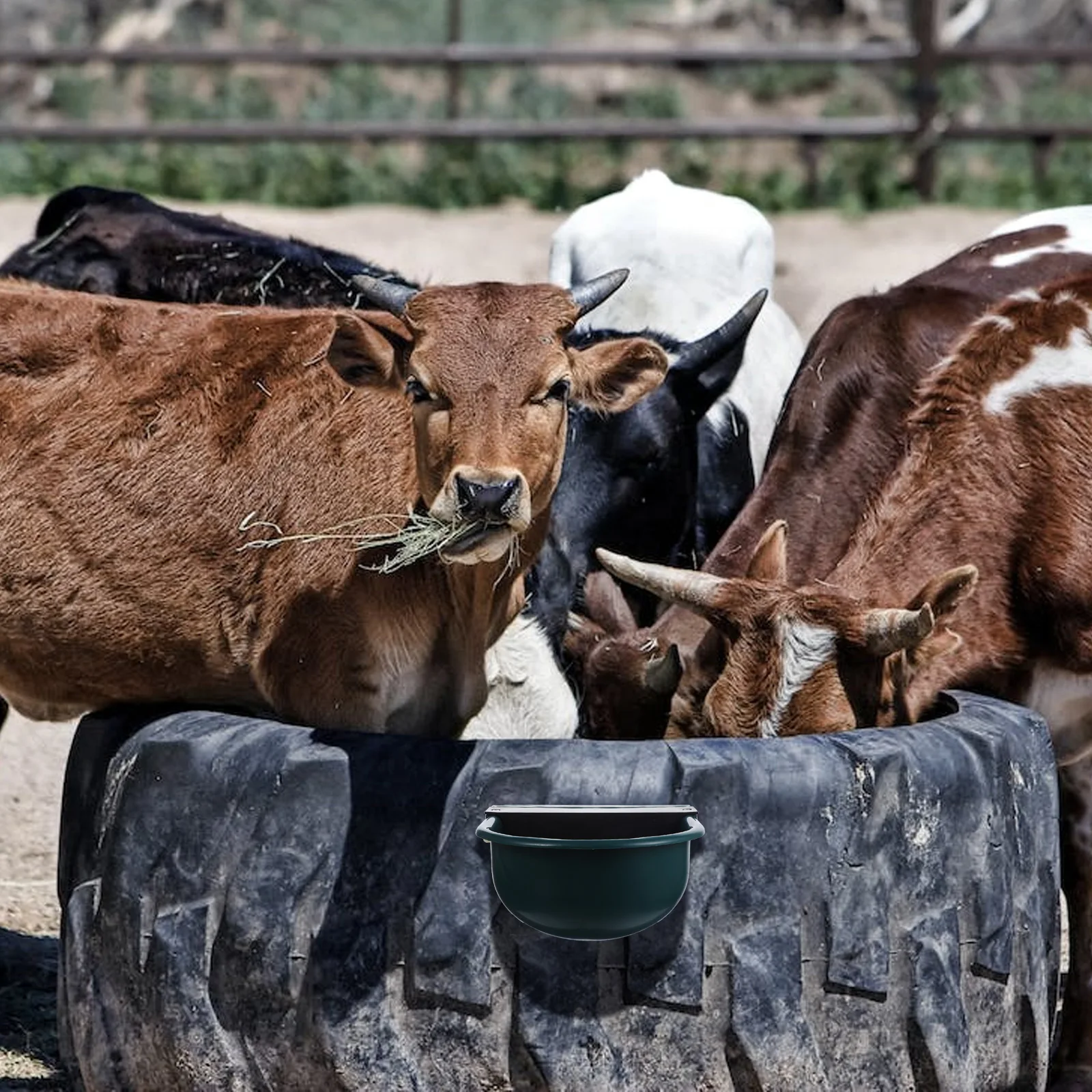 

Automatic Cow Waterer Plastic Stainless Steel Drinking Bowl Float Level Controller Livestock Tool Farm Horses Cattle Dog